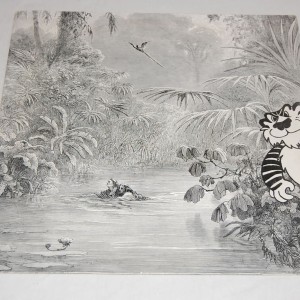 Suojele luontoa - ihmistäkin